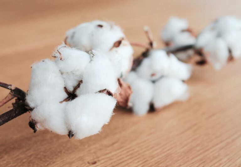 Read more about the article Jemné vlákna luxusu: Objavujeme tajomstvo mercerovanej bavlny